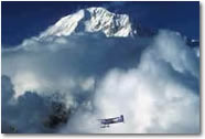 Talkeetna Flightseeing
